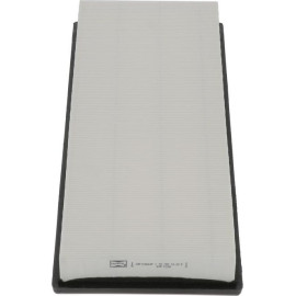 CAF100863P Champion Luftfilter CAF100863P CAF100863P Champion Luftfilter CAF100863P