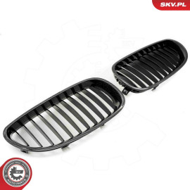 ESEN SKV Kühlergitter 66SKV170