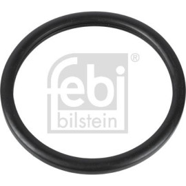 Dichtung, Thermostat 10255