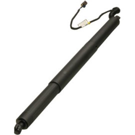 MAXGEAR Gasfeder, Einlegeboden (Koffer-/Laderaum) 12-2561 241762