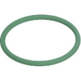 O-Ring F 01M 100 050