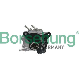 BORSEHUNG Kraftstoffpumpe B17906