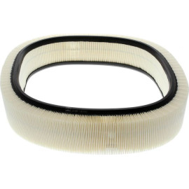 Champion Luftfilter CAF100229R