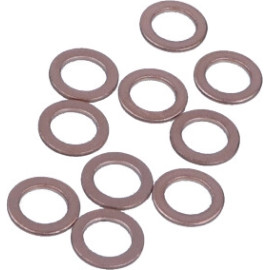 Dichtring 004.810.010