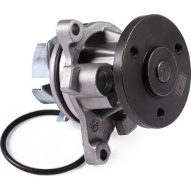 HEPU Wasserpumpe P251