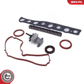 21SKV254 ESEN SKV Steuerkettensatz 21SKV254