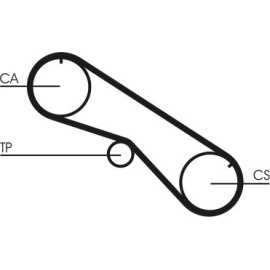 Continental CTAM Zahnriemen CT818