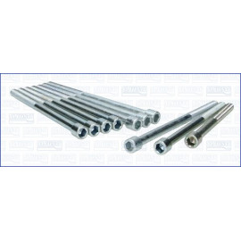 Zylinderkopfschraubensatz 81026300