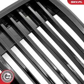 ESEN SKV Kühlergitter 66SKV146