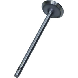 Auslassventil Fiat 2.3 16V Jtd PFIA162-A-0-N