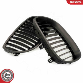 ESEN SKV Kühlergitter 66SKV167