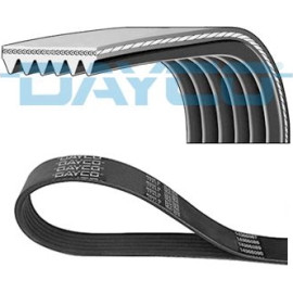 KEILRIPPENRIEMEN 6PK2535DAY