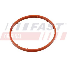 FAST Dichtung, Unterdruckpumpe FT50701