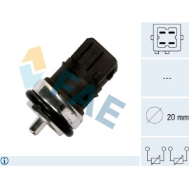 FAE Sensor, Zylinderkopftemperatur 33810