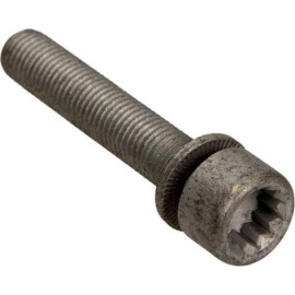 Schraube, Bremssattel 48817