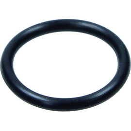 Dichtring 886.680