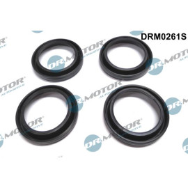DICHTUNG, DÜSENHALTER DRM0261S
