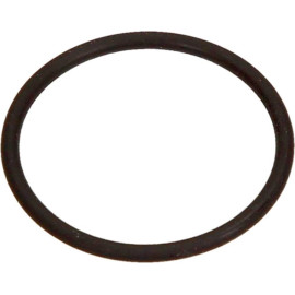 O-Ring F 00V C38 002