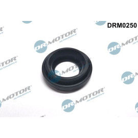 DR.MOTOR Dichtungssatz Einspritzdüse DRM0250