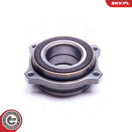 ESEN SKV Radlagersatz 29SKV505