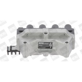 BorgWarner (BERU) Zündspule ZS029