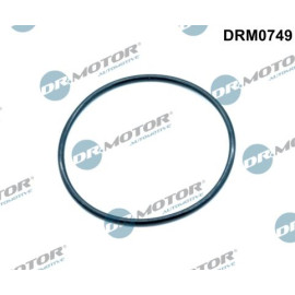 DR.MOTOR Dichtung, Ansaugkrümmer DRM0749 DR.MOTOR Dichtung, Ansaugkrümmer DRM0749