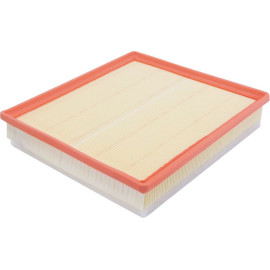 Filtron Luftfilter AP 137/3