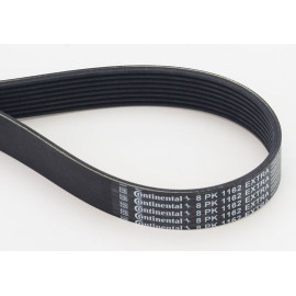 CONTINENTAL CTAM Keilrippenriemen 8PK1162 EXTRA