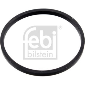 Dichtung, Thermostat 100055