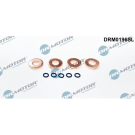 Einspritzdüse Dichtungssatz DRM0196SL