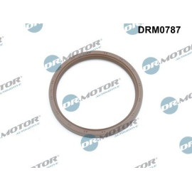 WELLENDICHTRING, KURBELWELLE DRM0787