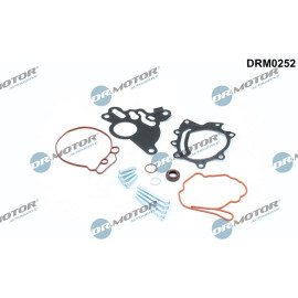 Reparatursatz, Unterdruckpumpe (Bremsanlage) DRM0252