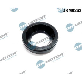 DR.MOTOR Dichtungssatz Einspritzdüse DRM0262