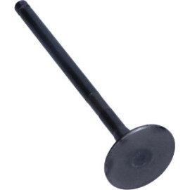 Auslassventil R6478/RNT