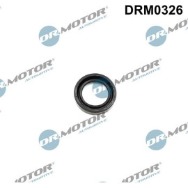 DR.MOTOR Dichtungssatz Einspritzdüse DRM0326