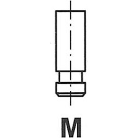 Auslassventil R6176/RNT