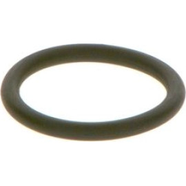 O-Ring F 00R J01 452