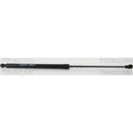 Gasfeder, Motorhaube 871029147