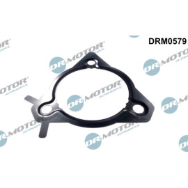 Dichtung, Einspritzpumpe DRM0579