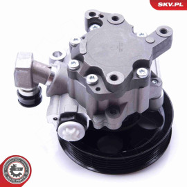 SKV GERMANY Hydraulikpumpe 10SKV272