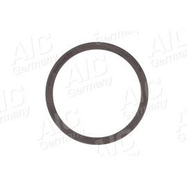 Sensorring ABS 55332