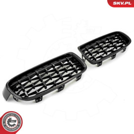 ESEN SKV Kühlergitter 66SKV128