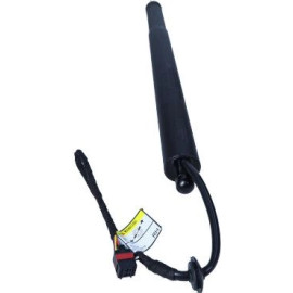 MAXGEAR Gasfeder, Einlegeboden (Koffer-/Laderaum) 12-2550 237744