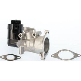 BorgWarner (Wahler) AGR-Ventil 710926D/1
