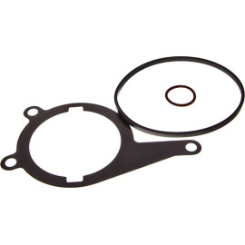 Dichtung, Unterdruckpumpe DRM01720