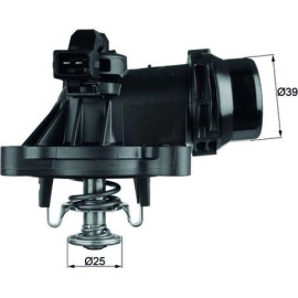 Kennfeldthermostat TM 18 105