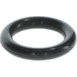 O-Ring F 00R J01 456