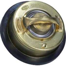 Thermostat, Kühlmittel 352317101360
