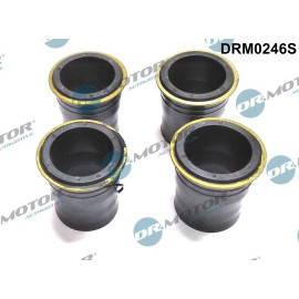 DR.MOTOR Dichtungssatz Einspritzdüse DRM0246S