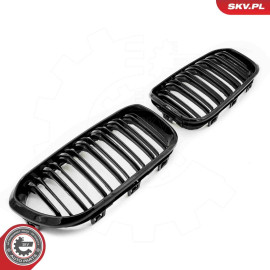 ESEN SKV Kühlergitter 66SKV021